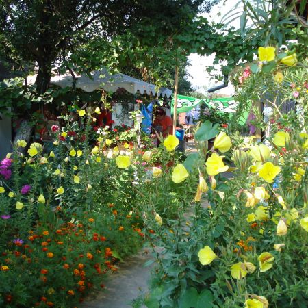 florile mele